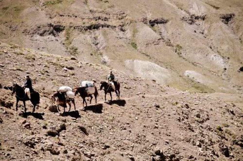 Crossing Cordillera