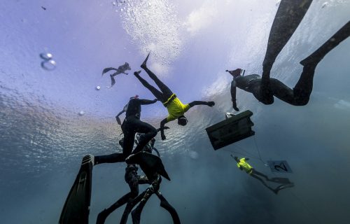DIVE  2016/22