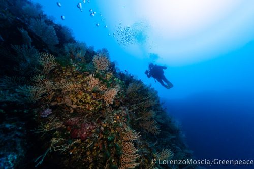 DIVE  2016/22