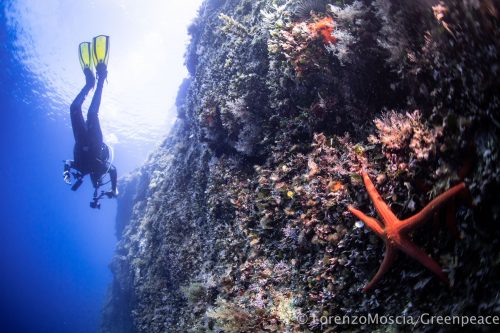 DIVE  2016/22