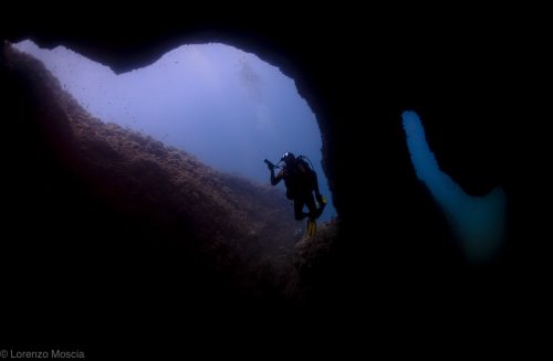 DIVE  2016/22