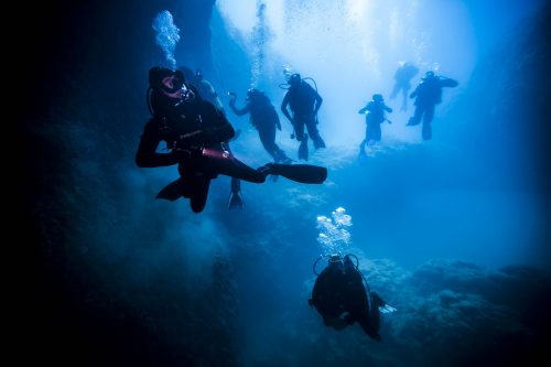 DIVE  2016/22