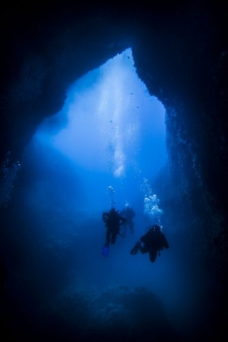 DIVE  2016/22
