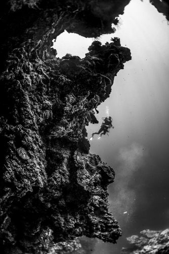 DIVE  2016/22