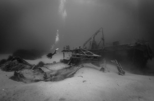 DIVE  2016/22