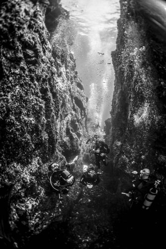 DIVE  2016/22