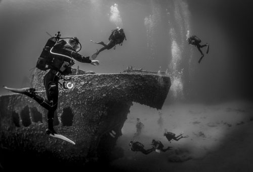 DIVE  2016/22