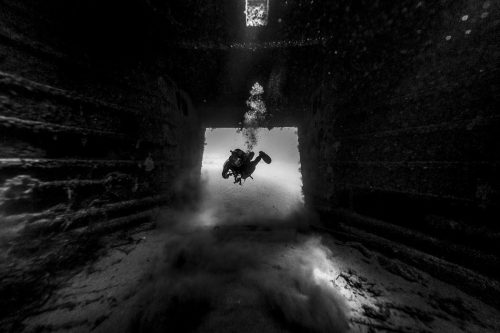 DIVE  2016/22
