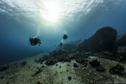 DIVE  2016/22