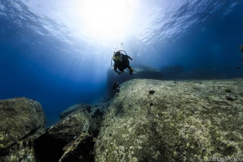 DIVE  2016/22