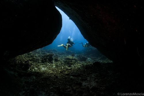 DIVE  2016/22