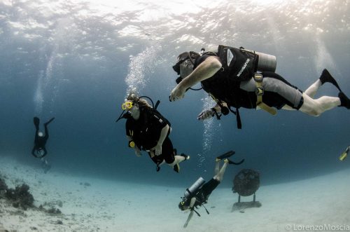 DIVE  2016/22