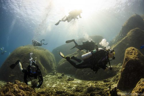 DIVE  2016/22