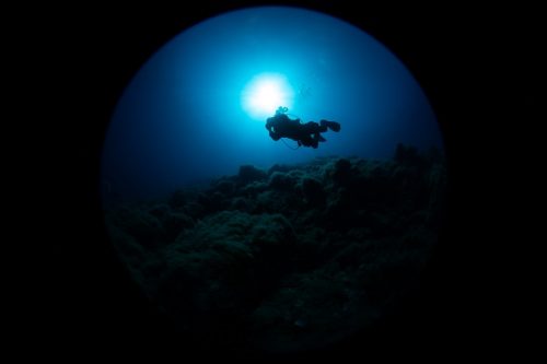 DIVE  2016/22