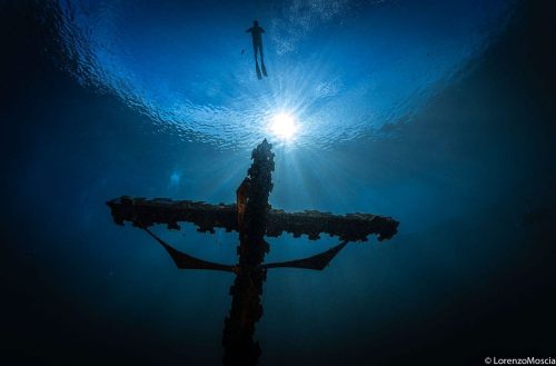 DIVE  2016/22