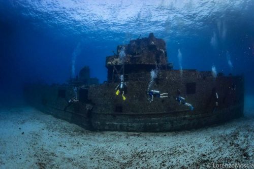 DIVE  2016/22