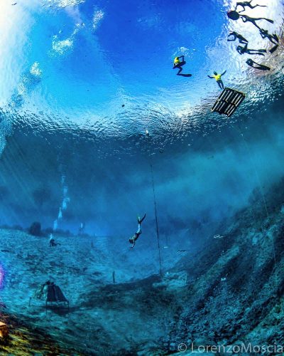DIVE  2016/22