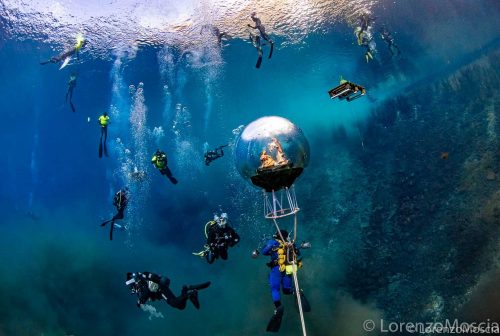 DIVE  2016/22