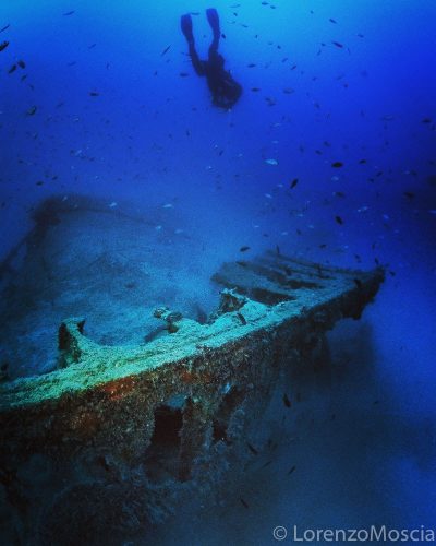DIVE  2016/22