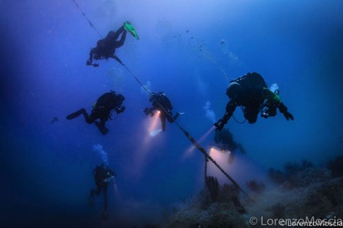 DIVE  2016/22