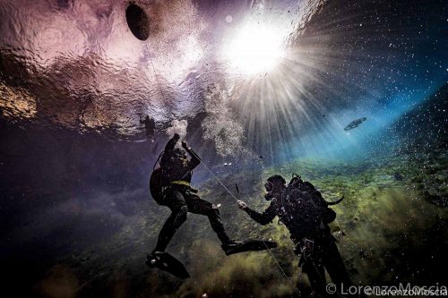 DIVE  2016/22
