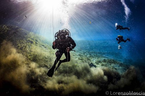 DIVE  2016/22