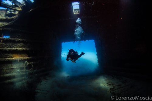 DIVE  2016/22