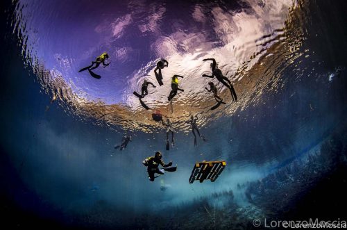 DIVE  2016/22