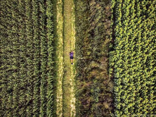 DRONE SHOTS   2017/22