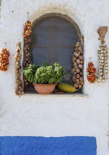 Island of Pantelleria