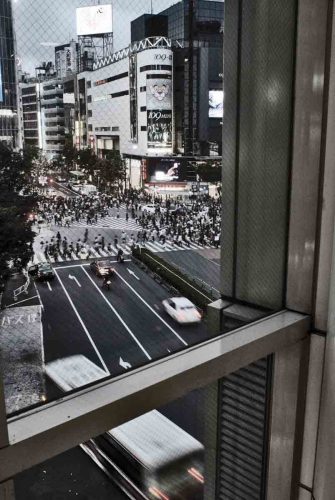 Japan TRIP