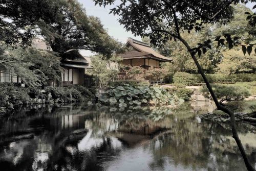 Japan TRIP