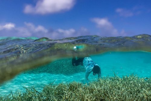 Ebadon island , Marshalls islands. July 2023, images of the tiny island of Ebadon where a community of 80 people live. Located 75 nautical miles from the capital Ebeye.