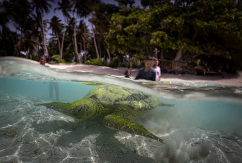 Ebadon island , Marshalls islands. July 2023, images of the tiny island of Ebadon where a community of 80 people live. Located 75 nautical miles from the capital Ebeye.