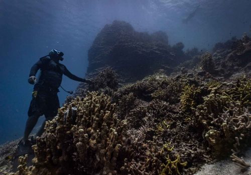 Ebeye, Marshalls Islands, July 2023 Diving at Ebeye. Wreck of the German frigate Prinze Eugene and on a reef.The main income for Ebeye residents is from the relatively small number of people employed on the Kwajalein military base. The money earned supports the population of around 15,000 on 80 acres (32 hectacres) of land. Over 50% of the population is estimated to be under the age of 18, and Ebeye is one of the most densely populated places in the world.