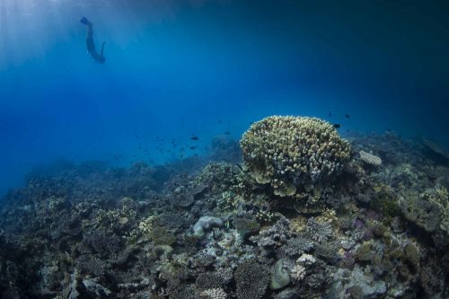 MARSHALL ISLANDS-EBEYE 2019