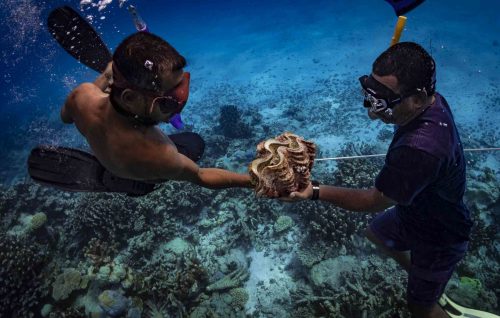 MARSHALL ISLANDS-EBEYE 2019